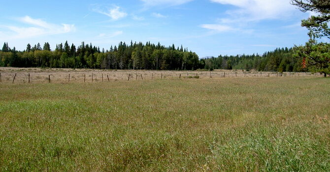 Announcements September 3, 2017 image