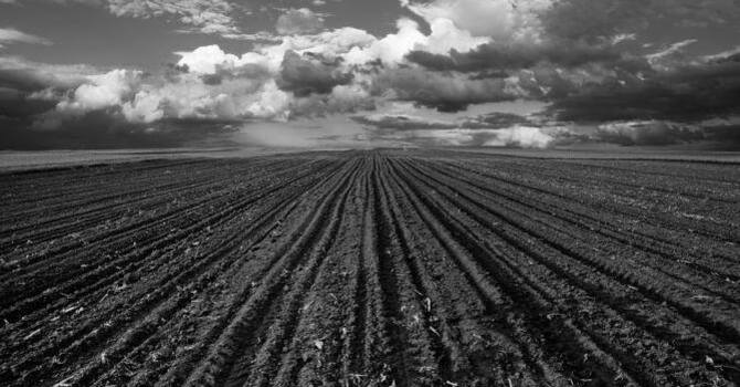 Ponoka Community Church