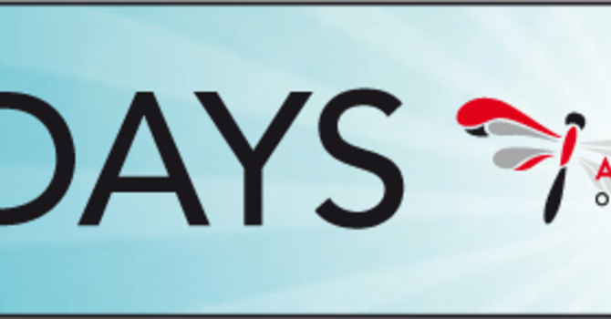 Diocese Launches the 50Days Project  image