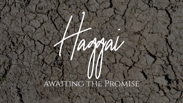 Haggai Series