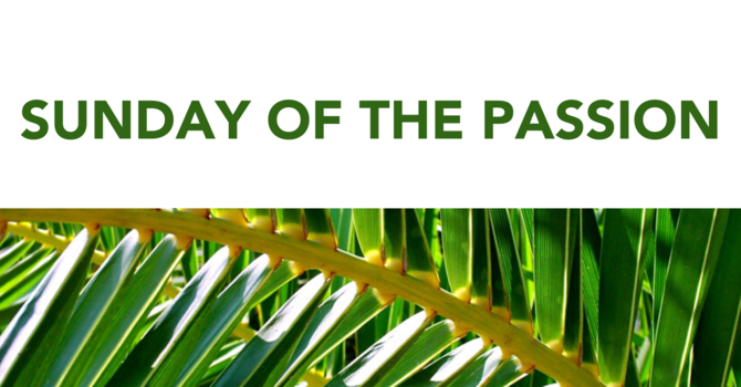 Bishop's Palm Sunday Message image