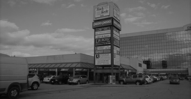 North York Vietnamese Alliance