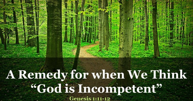 A Remedy for when We Think "God is Incompetent” image