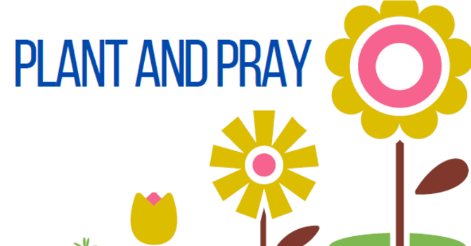 PLANT AND PRAY image