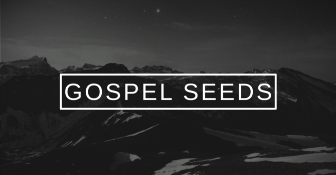Gospel Seeds