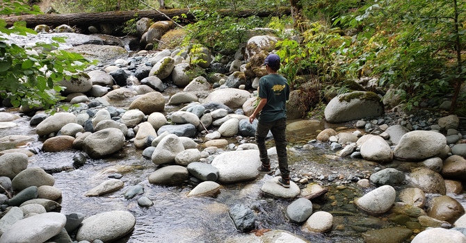 Earthling, be of this earth. Let it have you. image