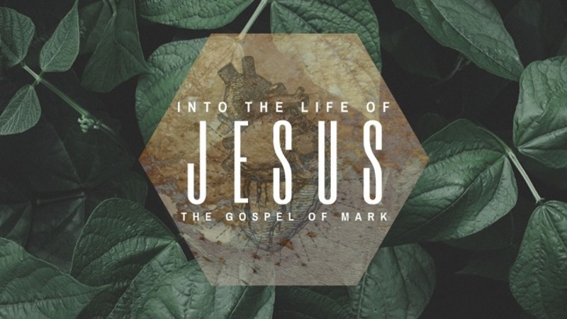 Is the salvation we seek good news for all