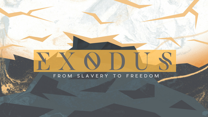 the Plagues: God versus the gods