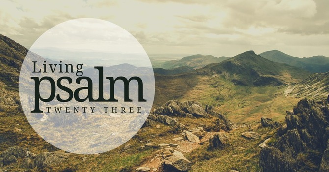 Trusting The Shepherd In The Valley 