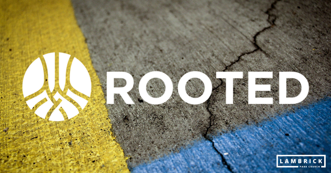 Why are we doing Rooted?