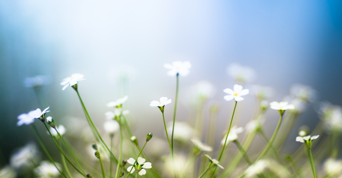 Physically distanced - Spiritually connected through Creation image