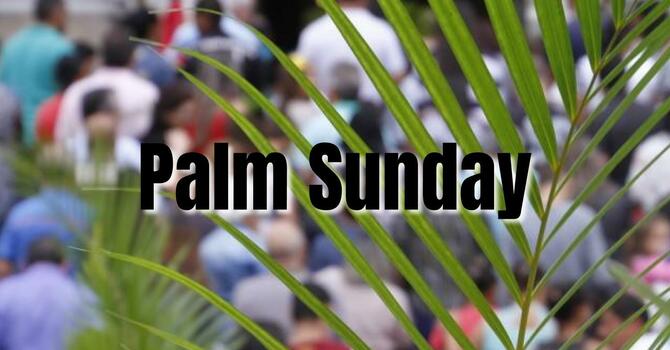 Palm Sunday