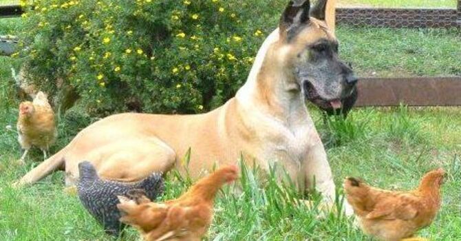 Are you in the right place?