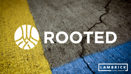 Rooted