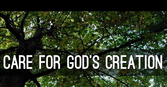 Diocesan Environment Network