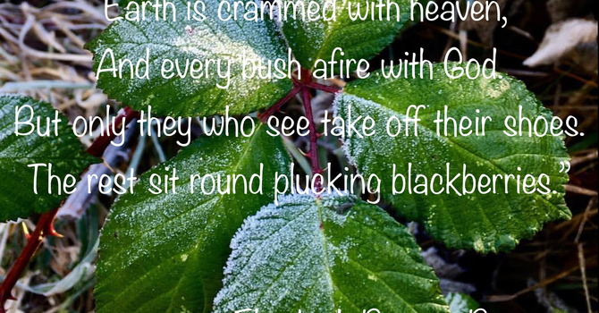 "Earth is crammed with heaven"