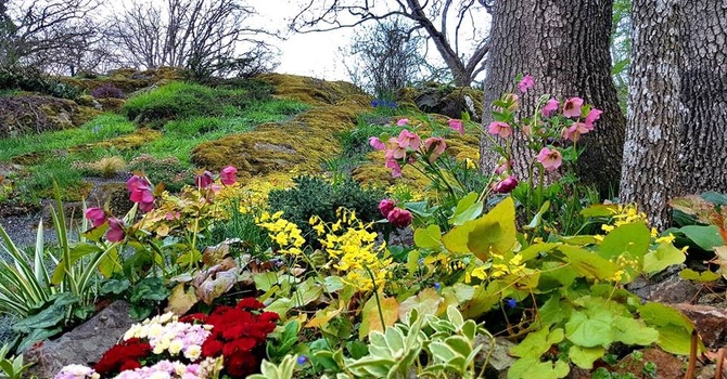 In the darkness before dawn