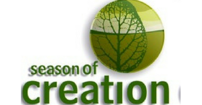 Season of Creation. A Guide to this week’s Daily Practice. image