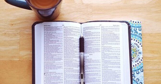 So You Want to Read the Bible? image