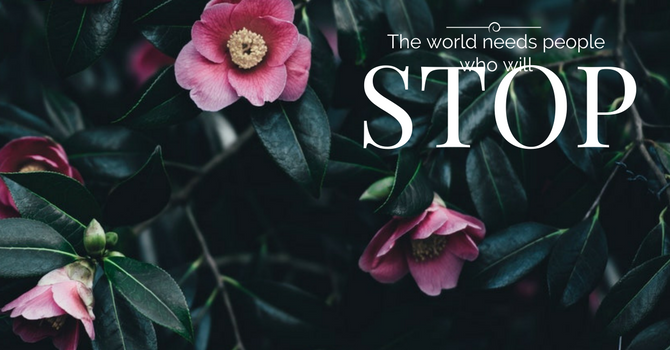 The World Needs People Who Will STOP