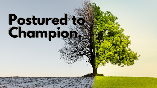 Postured to Champion
