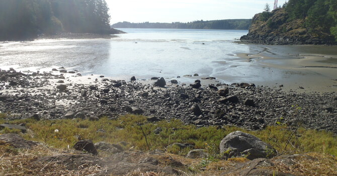 Rest: A vital rhythm - what I've learned so far image