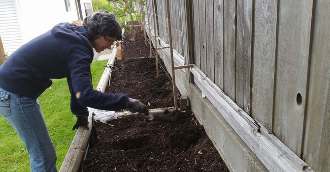 A Peek Into God's Heart image