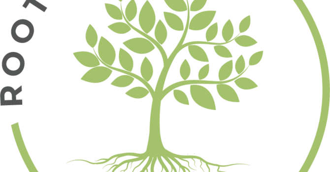 From Christ's Kids to Rooted Kids: Why the name change? image