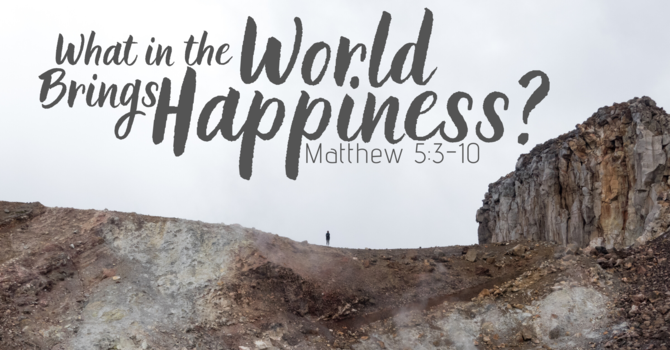 What in the World Brings Happiness