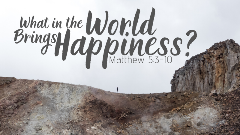 What in the World Brings Happiness