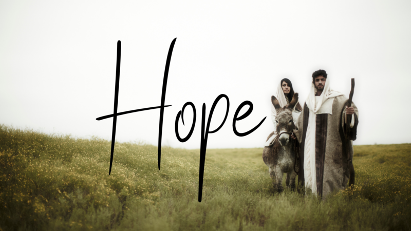 The Hope of a New Beginning- Robin Martens