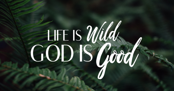 Life is Wild- God is Good