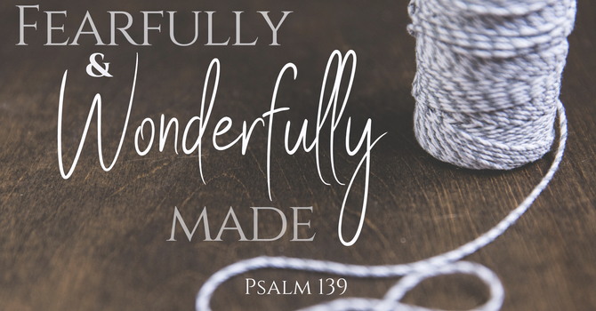 Fearfully and Wonderfully Made