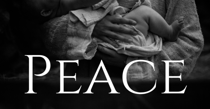 Advent: The Gift of Peace