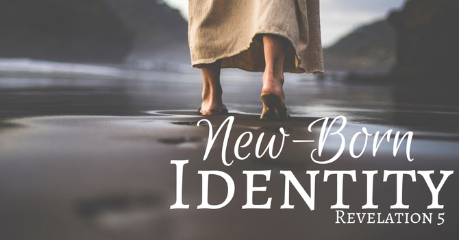 New-Born  Identity