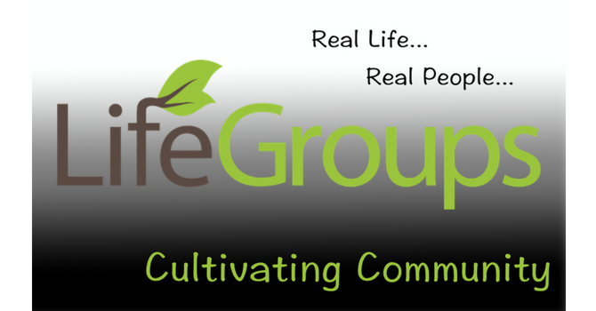Life Groups