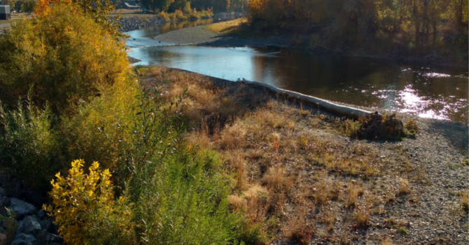 Announcements August 26, 2018 image