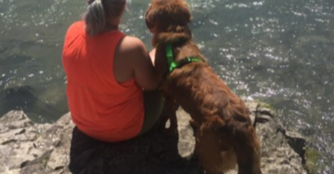 Announcements August 12, 2018 image