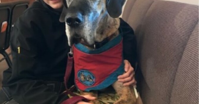 Announcements - May 26, 2019 image