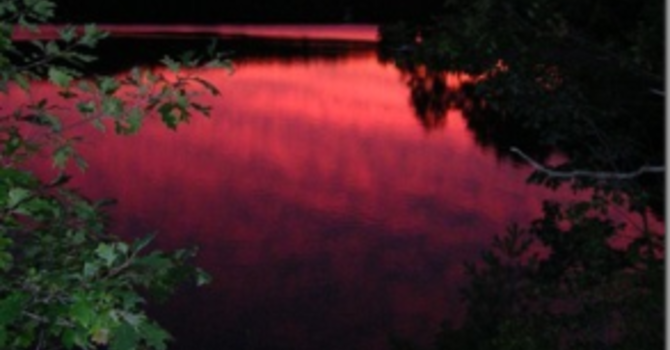 Announcements July 15, 2018 image