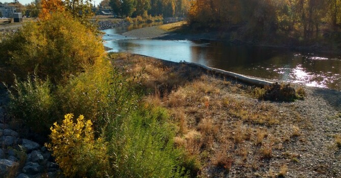 Announcements - July 21, 2019 image