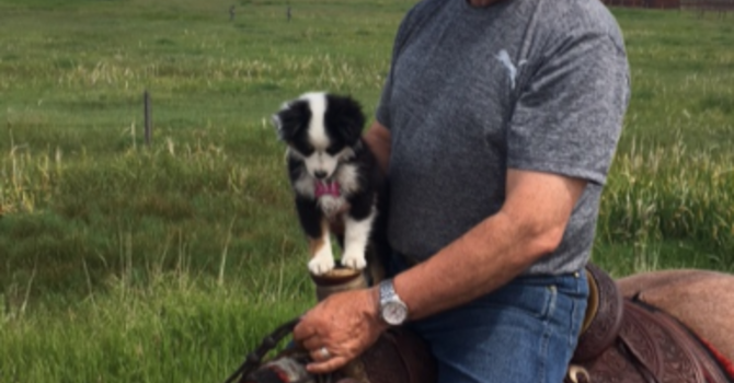 Announcements - July 7, 2019 image