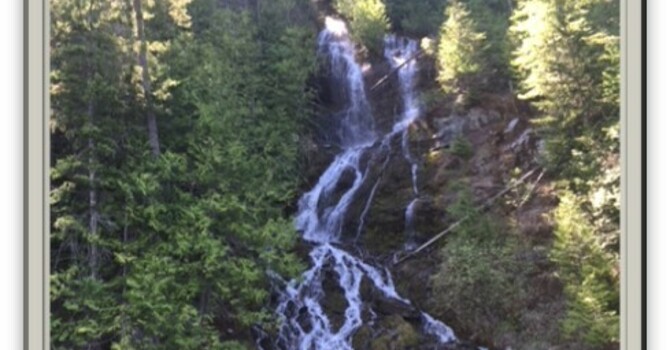 Announcements August 18, 2019 image