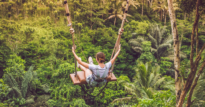 It's a Jungle Out There