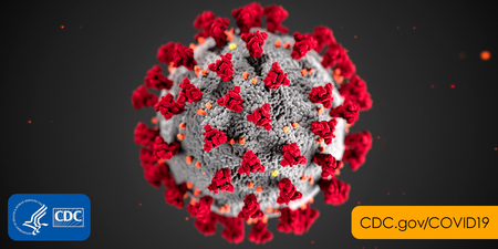 Corona Virus - COVID-19