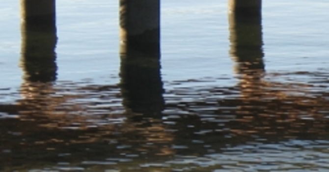 Announcements November 6, 2016 image