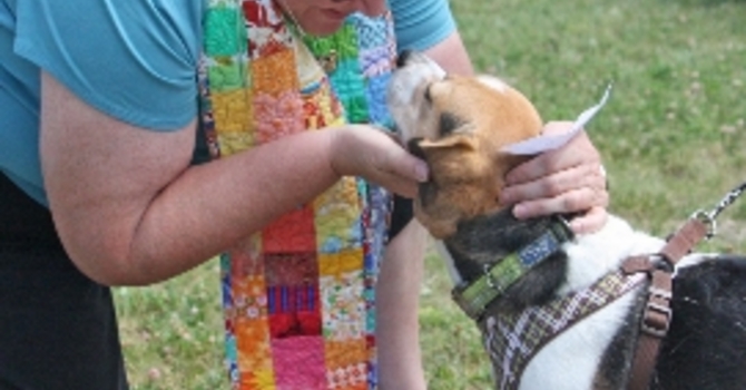 Announcements August 21, 2016 image