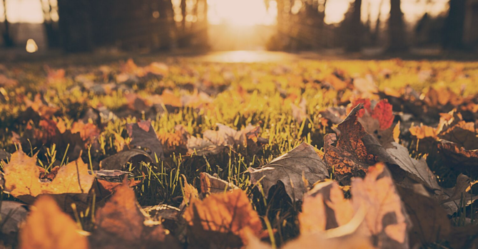 Weekly Devotional image