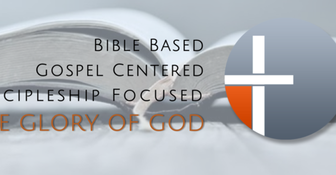 Killing Sloth With an Ant