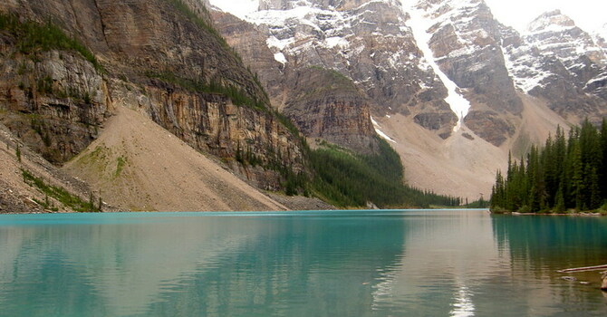 Announcements July 30, 2017 image